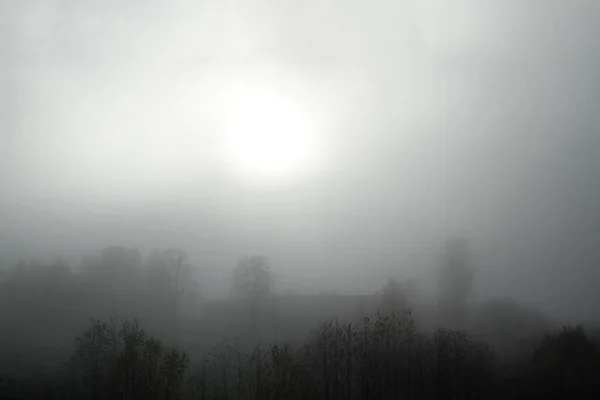 Nordische Landschaft Einem Nebligen Morgen — Stockfoto