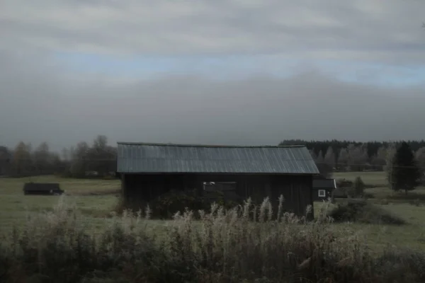 霧の朝の北欧の風景 — ストック写真