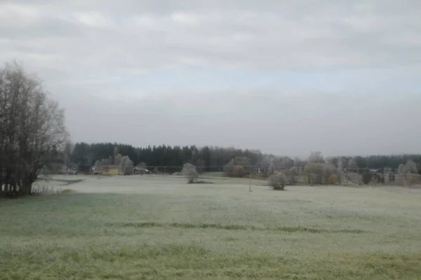 Paesaggio Nordico Una Mattina Nebbiosa — Foto Stock