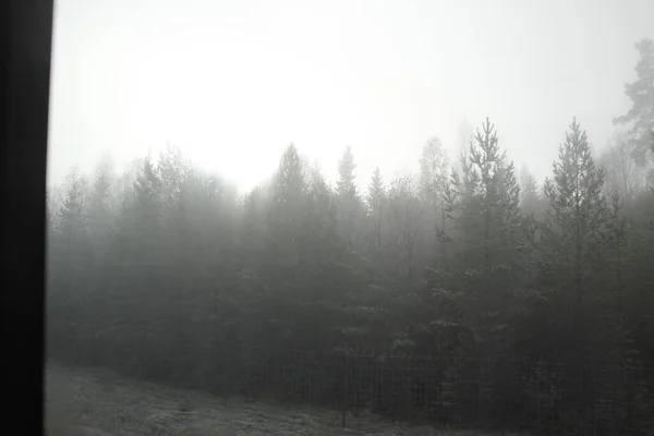 Paysage Nordique Dans Une Matinée Brumeuse — Photo