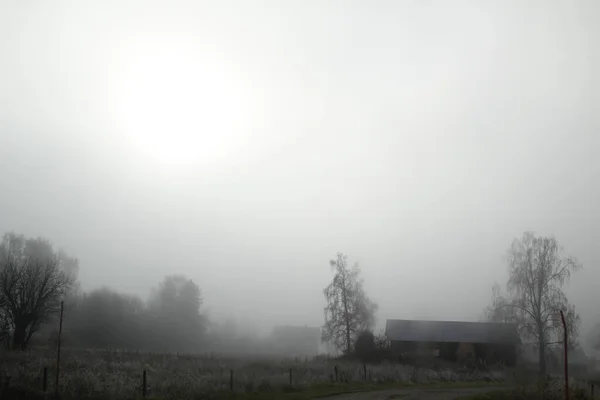 雾蒙蒙的早晨 北欧的风景 — 图库照片