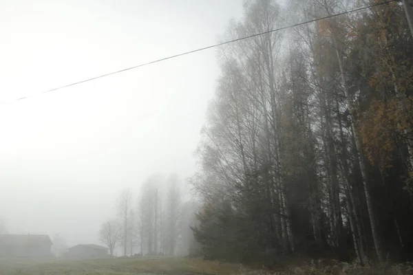 霧の朝の北欧の風景 — ストック写真