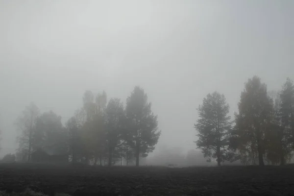 Nordische Landschaft Einem Nebligen Morgen — Stockfoto