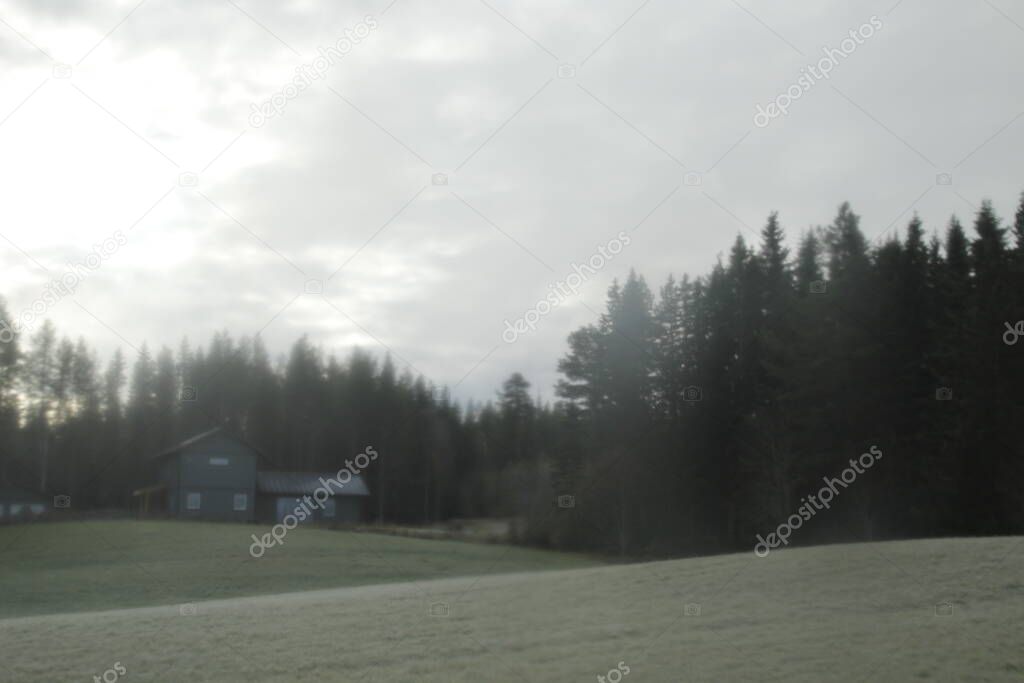 Nordic landscape in a foggy morning