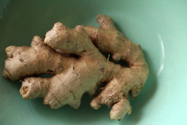 Tepside zencefil kökü