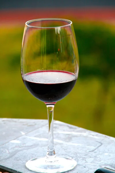 Copo Vinho Tinto Espanhol — Fotografia de Stock
