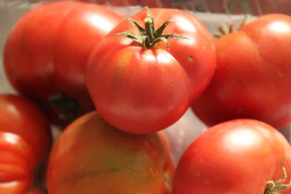 Rote Tomaten Auf Einem Tablett — Stockfoto
