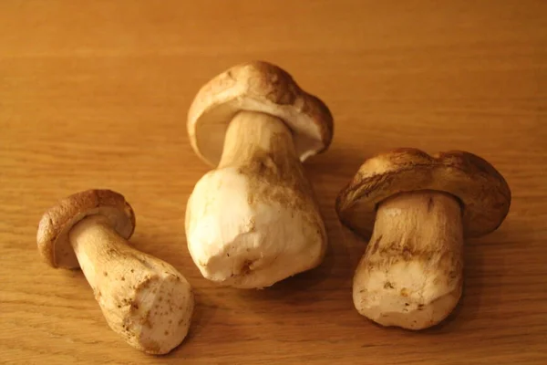 Boletus Las Setas Sobre Mesa —  Fotos de Stock