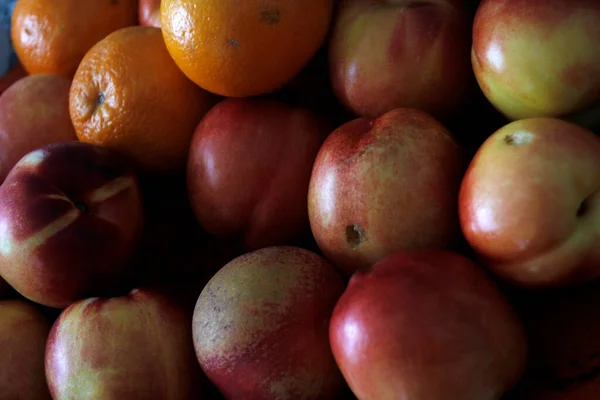 Frutta Vassoio — Foto Stock