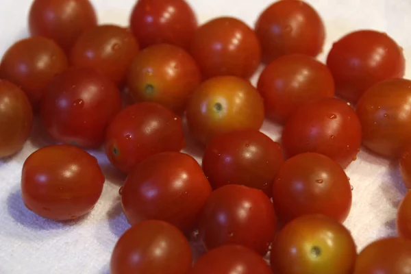 Tomates Vermelhos Uma Bandeja — Fotografia de Stock