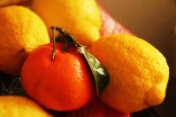 Frutas Una Bandeja — Foto de Stock