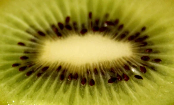 Nahaufnahme Einer Kiwi — Stockfoto