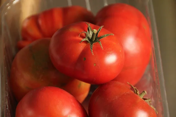 Rote Tomaten Auf Einem Tablett — Stockfoto