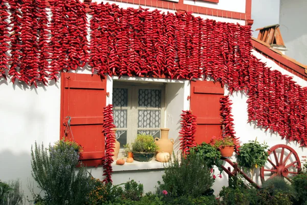 Poivrons Rouges Suspendus Espelette — Photo