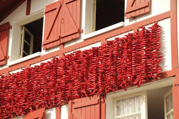 Pimientos Rojos Colgando Espelette —  Fotos de Stock