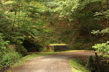 Bask ülkesinin kırsal kesimi