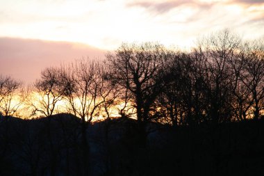 Bask ülkesinin kırsal kesimi