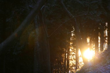 Bask ülkesinin kırsal kesimi