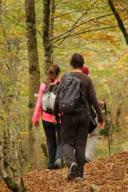 Kırsalda yürürken