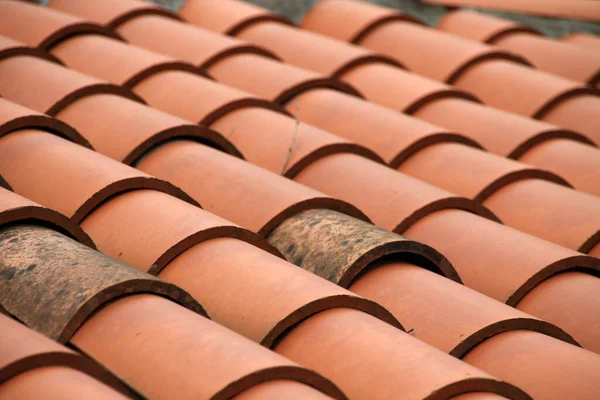 Tiled roof of a house