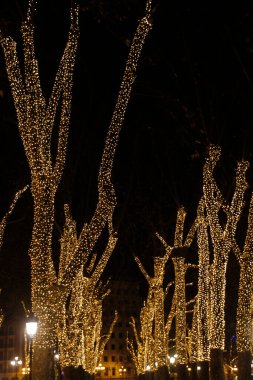 Sokakta Noel ışıkları