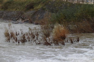 Bilbao Nehri manzarası