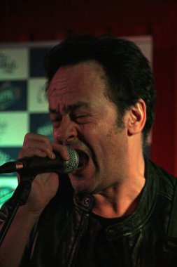 Konserde şarkı söylemek.