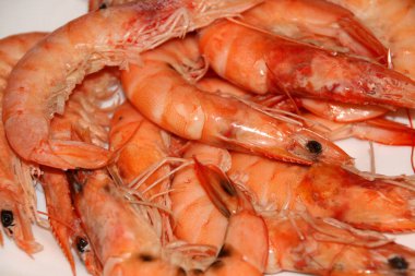 Karidesler pişmeye hazır.