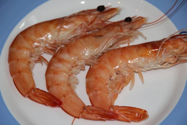 Camarones Listos Para Cocinar —  Fotos de Stock