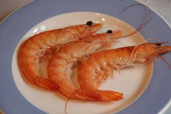 Camarones Listos Para Cocinar —  Fotos de Stock