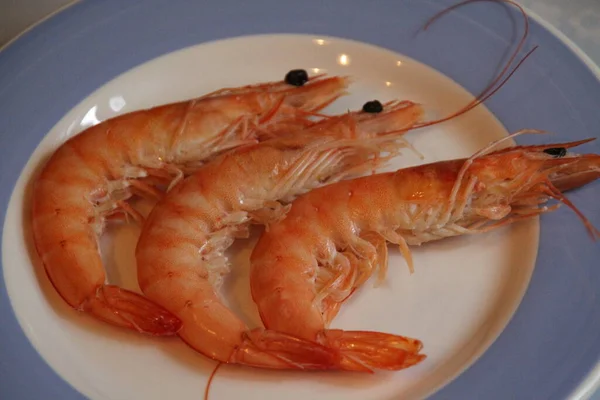 Camarones Listos Para Cocinar —  Fotos de Stock