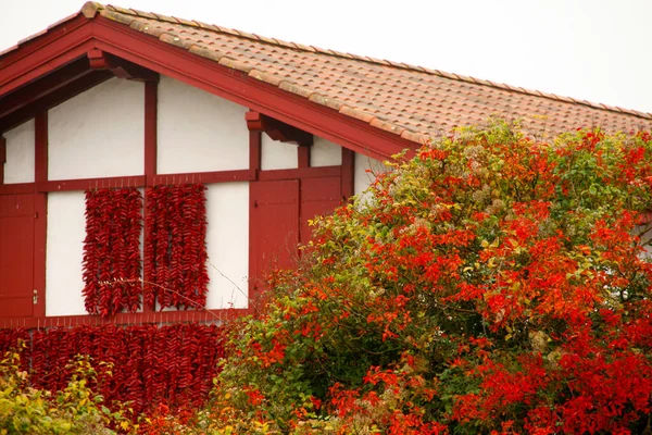 Pimientos Rojos Colgados Fachada Una Casa Espelette — Foto de Stock