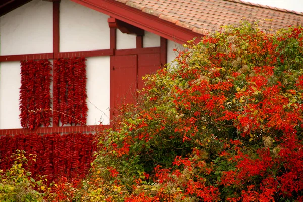 Pimientos Rojos Colgados Fachada Una Casa Espelette — Foto de Stock