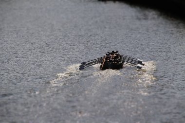 Bilbao nehrinde kürek çekerken