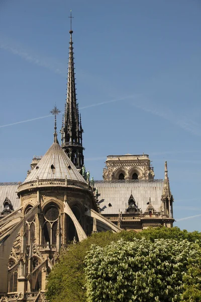 Yanmadan Önce Notre Dame Katedrali Paris — Stok fotoğraf