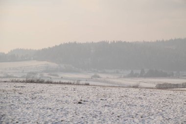 Orta Avrupa 'da kış manzarası