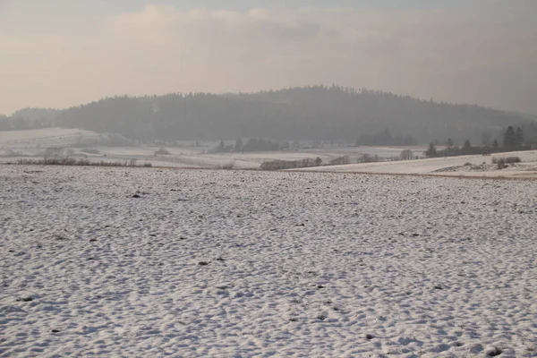Orta Avrupa 'da kış manzarası