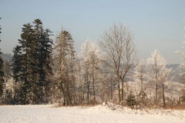 Winterlandschaft Mitteleuropa — Stockfoto