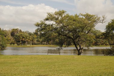 Miami parkında tropik bitki örtüsü