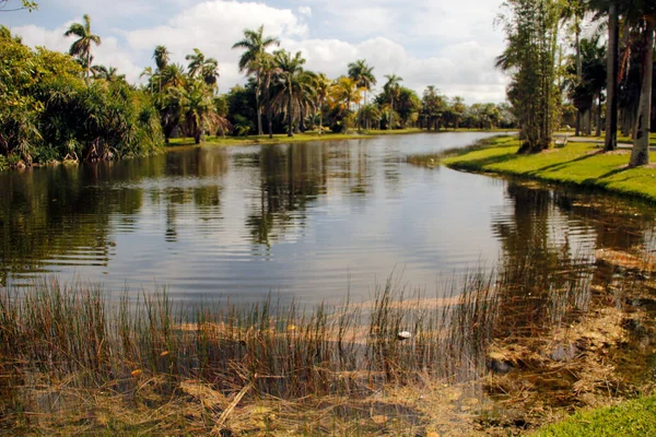 Miami parkında tropik bitki örtüsü