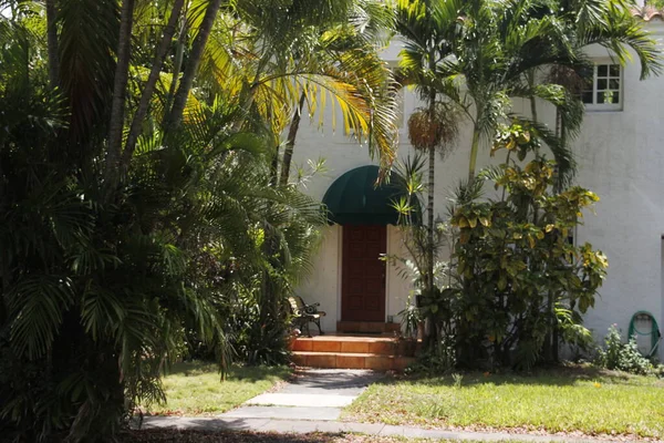 Tropische Vegetatie Een Park Van Miami — Stockfoto