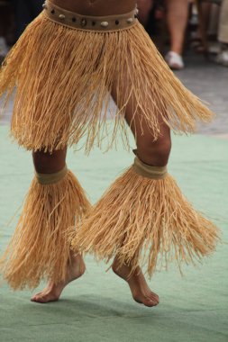 Güney Denizleri Halk Festivali 'nde dans ediyor