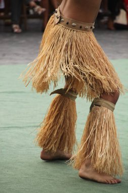 Güney Denizleri Halk Festivali 'nde dans ediyor