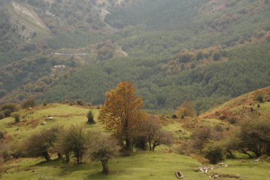 Bir sonbahar gününde Bask kırsalında