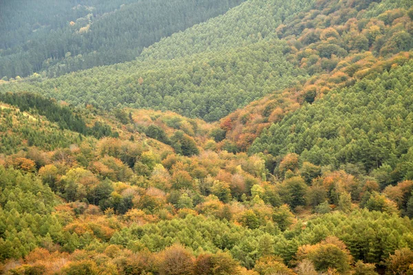 Baskisch Platteland Een Herfstdag — Stockfoto
