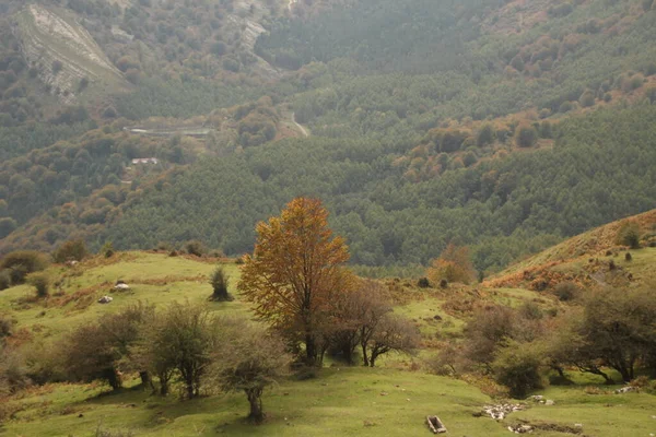 Paisaje Vasco Día Otoño — Foto de Stock