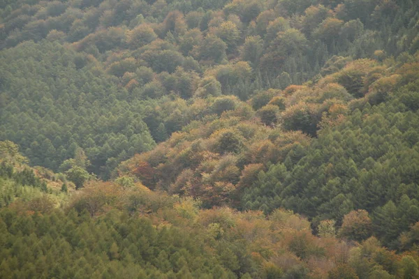 Bir Sonbahar Gününde Bask Kırsalında — Stok fotoğraf