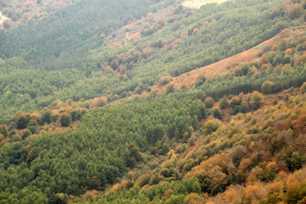 Campagna Basca Una Giornata Autunnale — Foto Stock