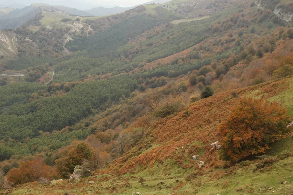 Баскська Сільська Місцевість Восени — стокове фото