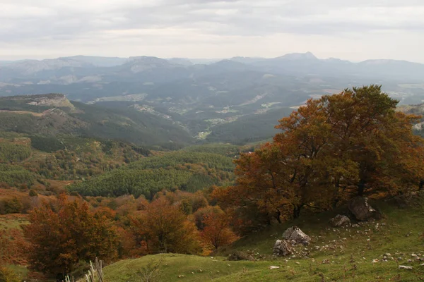 Baskisch Platteland Een Herfstdag — Stockfoto